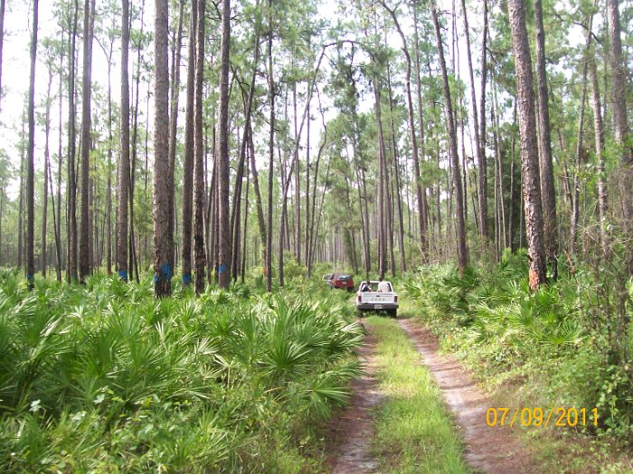 2011-Jul-09_HGR4X4_Richloam_P1 023